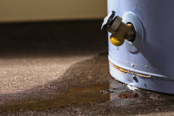 Best Flooded house restoration  in Rockville, CT