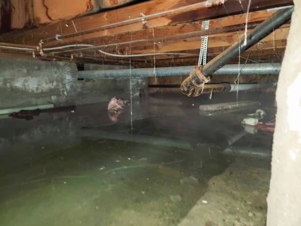 Best Ceiling water damage repair  in Rockville, CT