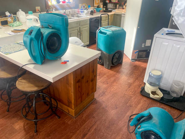 Best Basement water damage restoration  in Rockville, CT
