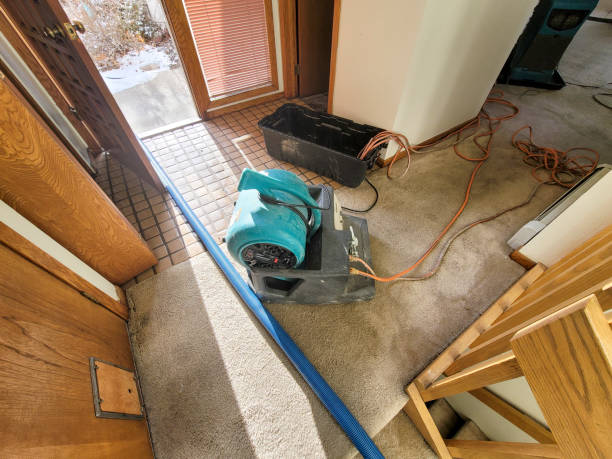 Best Water damage contractors near me  in Rockville, CT
