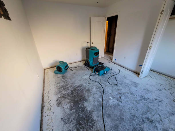 Reliable CT Water damage restoration Solutions