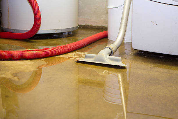Best Local water damage restoration  in Rockville, CT