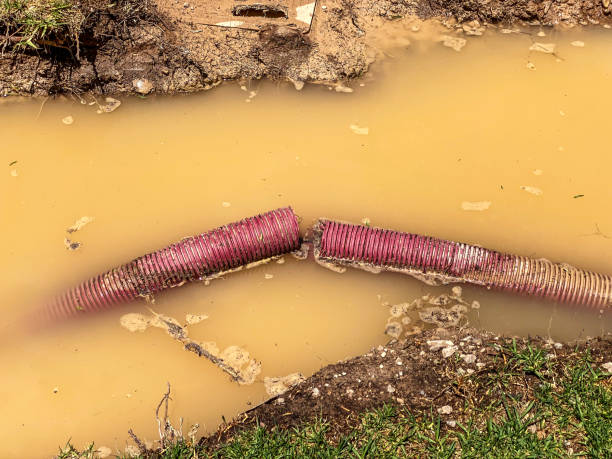 Best Mold removal after water damage  in Rockville, CT